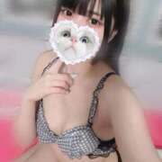 ヒメ日記 2025/02/20 08:42 投稿 みしろ 若葉