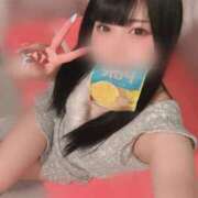 ヒメ日記 2025/02/26 11:23 投稿 みしろ 若葉