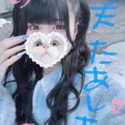 ヒメ日記 2025/02/26 17:05 投稿 みしろ 若葉