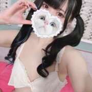 ヒメ日記 2025/02/27 07:25 投稿 みしろ 若葉