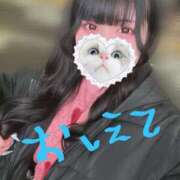 ヒメ日記 2025/03/01 19:45 投稿 みしろ 若葉