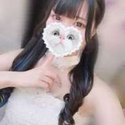 ヒメ日記 2025/03/02 06:55 投稿 みしろ 若葉