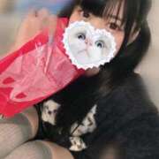 ヒメ日記 2025/03/06 06:30 投稿 みしろ 若葉