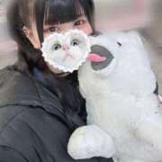 ヒメ日記 2025/03/08 07:19 投稿 みしろ 若葉