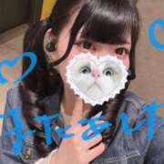 ヒメ日記 2025/03/16 20:05 投稿 みしろ 若葉