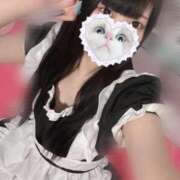 ヒメ日記 2025/03/19 08:55 投稿 みしろ 若葉