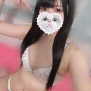 ヒメ日記 2025/03/19 19:25 投稿 みしろ 若葉