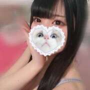 ヒメ日記 2025/03/20 13:25 投稿 みしろ 若葉