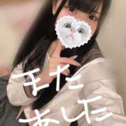 ヒメ日記 2025/03/23 11:25 投稿 みしろ 若葉