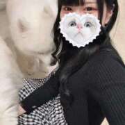 ヒメ日記 2025/03/28 21:35 投稿 みしろ 若葉