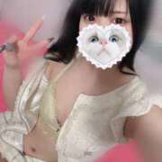 ヒメ日記 2025/03/29 14:45 投稿 みしろ 若葉