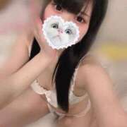 ヒメ日記 2025/04/04 13:35 投稿 みしろ 若葉