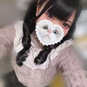 ヒメ日記 2025/04/05 08:35 投稿 みしろ 若葉