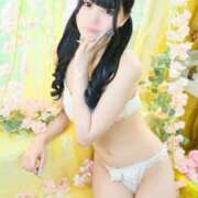 ヒメ日記 2025/04/13 11:05 投稿 みしろ 若葉