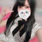 ヒメ日記 2025/04/21 08:25 投稿 みしろ 若葉