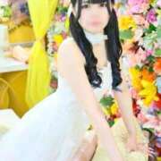 ヒメ日記 2025/04/23 16:39 投稿 みしろ 若葉