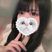 ヒメ日記 2025/04/26 16:55 投稿 みしろ 若葉