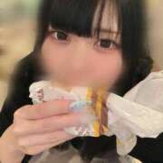 ヒメ日記 2025/04/30 12:06 投稿 みしろ 若葉