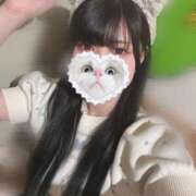 ヒメ日記 2025/05/05 06:38 投稿 みしろ 若葉