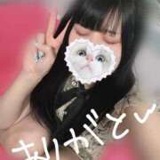 ヒメ日記 2025/05/09 20:35 投稿 みしろ 若葉