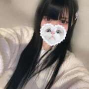 ヒメ日記 2025/05/15 06:25 投稿 みしろ 若葉