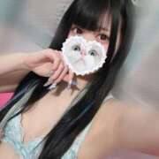 ヒメ日記 2025/05/17 07:18 投稿 みしろ 若葉