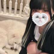 ヒメ日記 2025/05/24 10:35 投稿 みしろ 若葉