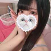 ヒメ日記 2025/06/02 07:15 投稿 みしろ 若葉