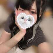 ヒメ日記 2025/06/05 06:15 投稿 みしろ 若葉