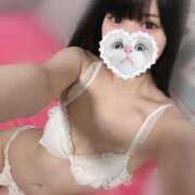 ヒメ日記 2025/06/05 10:05 投稿 みしろ 若葉