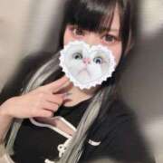 ヒメ日記 2025/06/08 16:25 投稿 みしろ 若葉