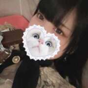 ヒメ日記 2025/06/09 08:06 投稿 みしろ 若葉