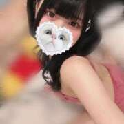 ヒメ日記 2025/06/15 06:15 投稿 みしろ 若葉