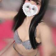 ヒメ日記 2025/06/15 12:45 投稿 みしろ 若葉