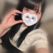 ヒメ日記 2025/06/16 06:15 投稿 みしろ 若葉