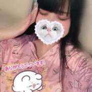 ヒメ日記 2025/06/17 14:39 投稿 みしろ 若葉