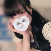 ヒメ日記 2025/06/20 14:05 投稿 みしろ 若葉