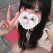 ヒメ日記 2025/06/22 19:15 投稿 みしろ 若葉