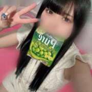 ヒメ日記 2025/06/24 13:38 投稿 みしろ 若葉