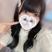 ヒメ日記 2025/06/26 06:25 投稿 みしろ 若葉