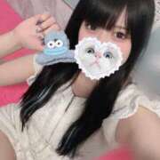 ヒメ日記 2025/06/27 15:35 投稿 みしろ 若葉