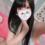 ヒメ日記 2025/06/29 07:25 投稿 みしろ 若葉