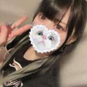 ヒメ日記 2025/07/06 15:25 投稿 みしろ 若葉