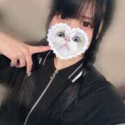 ヒメ日記 2025/07/16 11:05 投稿 みしろ 若葉