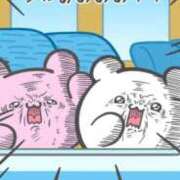 ヒメ日記 2025/07/25 18:25 投稿 みしろ 若葉