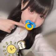 ヒメ日記 2025/08/02 06:19 投稿 みしろ 若葉