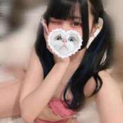 ヒメ日記 2025/08/02 11:25 投稿 みしろ 若葉