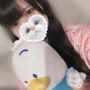 ヒメ日記 2025/08/04 07:41 投稿 みしろ 若葉