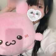 ヒメ日記 2025/08/07 06:35 投稿 みしろ 若葉