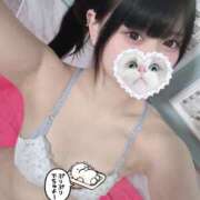 ヒメ日記 2025/08/08 12:32 投稿 みしろ 若葉